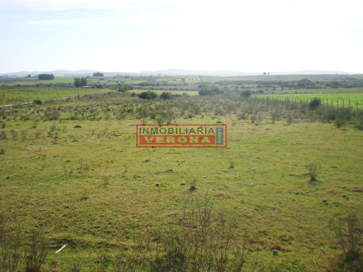 6294 75 - GoPunta - Portal Inmobiliario de Punta del Este - Maldonado