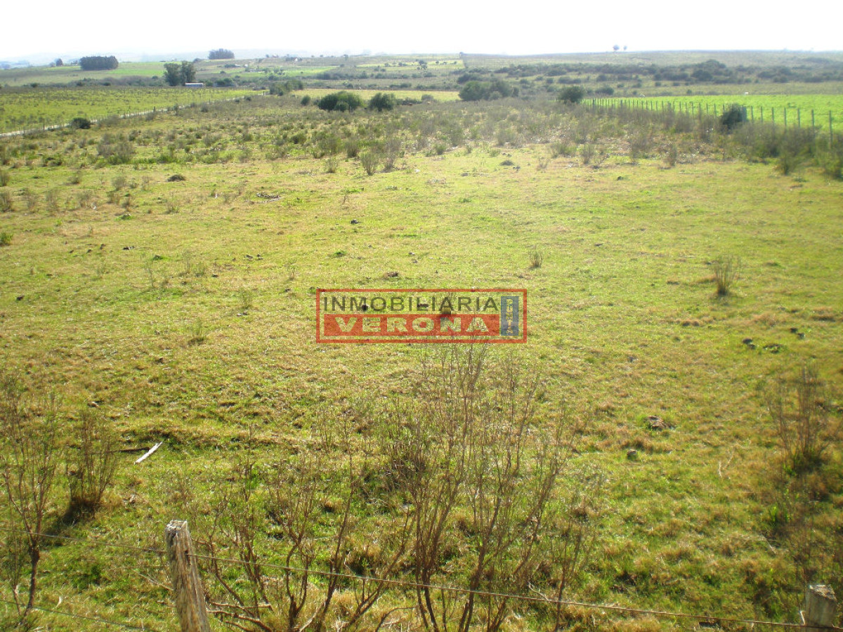 6294 75 - GoPunta - Portal Inmobiliario de Punta del Este - Maldonado