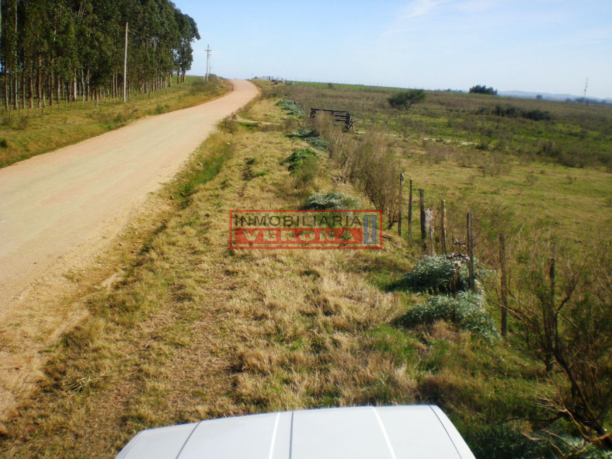 6294 75 - GoPunta - Portal Inmobiliario de Punta del Este - Maldonado