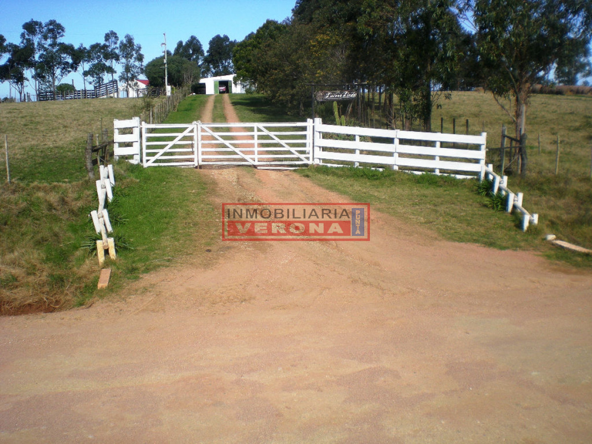 6294 75 - GoPunta - Portal Inmobiliario de Punta del Este - Maldonado
