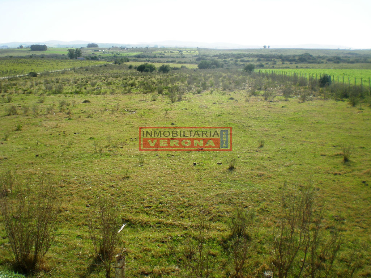6294 75 - GoPunta - Portal Inmobiliario de Punta del Este - Maldonado