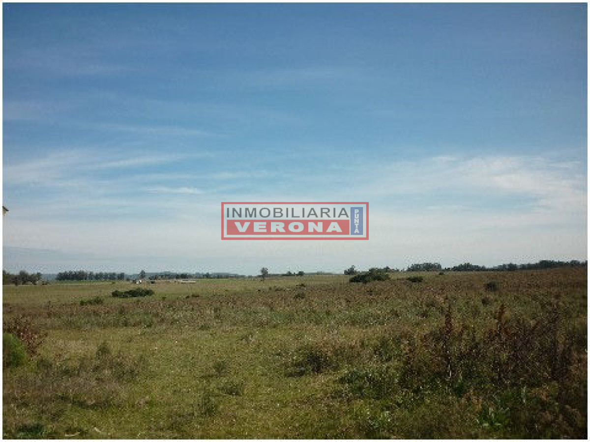 6300 75 - GoPunta - Portal Inmobiliario de Punta del Este - Maldonado