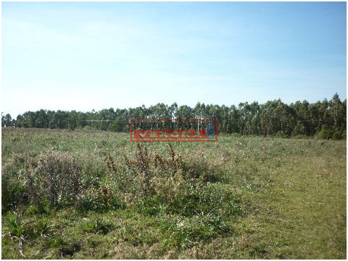 6300 75 - GoPunta - Portal Inmobiliario de Punta del Este - Maldonado