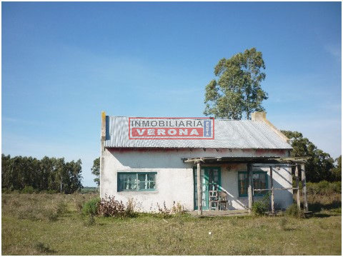 6300 75 - GoPunta - Portal Inmobiliario de Punta del Este - Maldonado