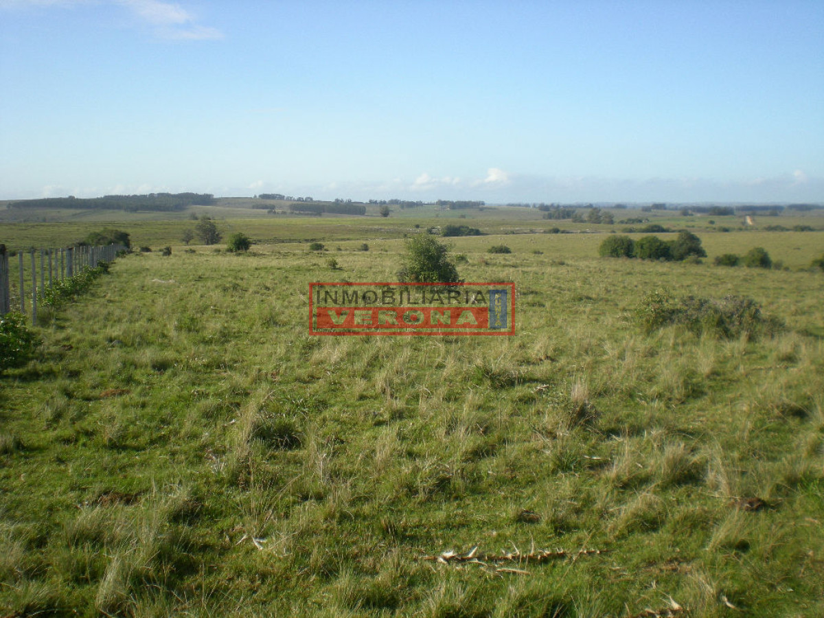 6304 75 - GoPunta - Portal Inmobiliario de Punta del Este - Maldonado