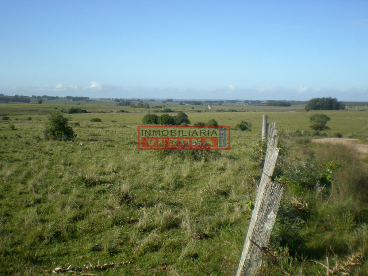 6304 75 - GoPunta - Portal Inmobiliario de Punta del Este - Maldonado
