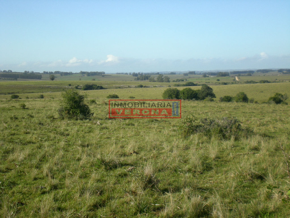 6304 75 - GoPunta - Portal Inmobiliario de Punta del Este - Maldonado