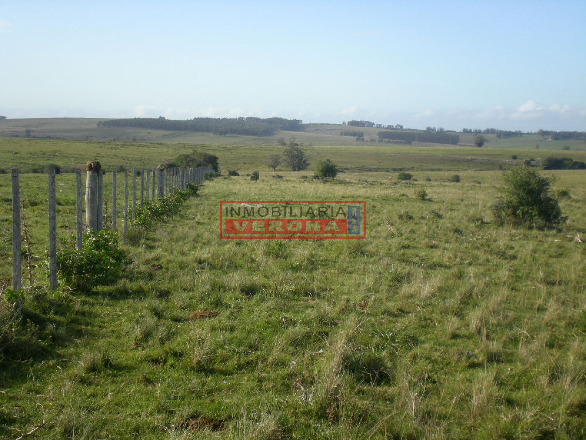 6304 75 - GoPunta - Portal Inmobiliario de Punta del Este - Maldonado