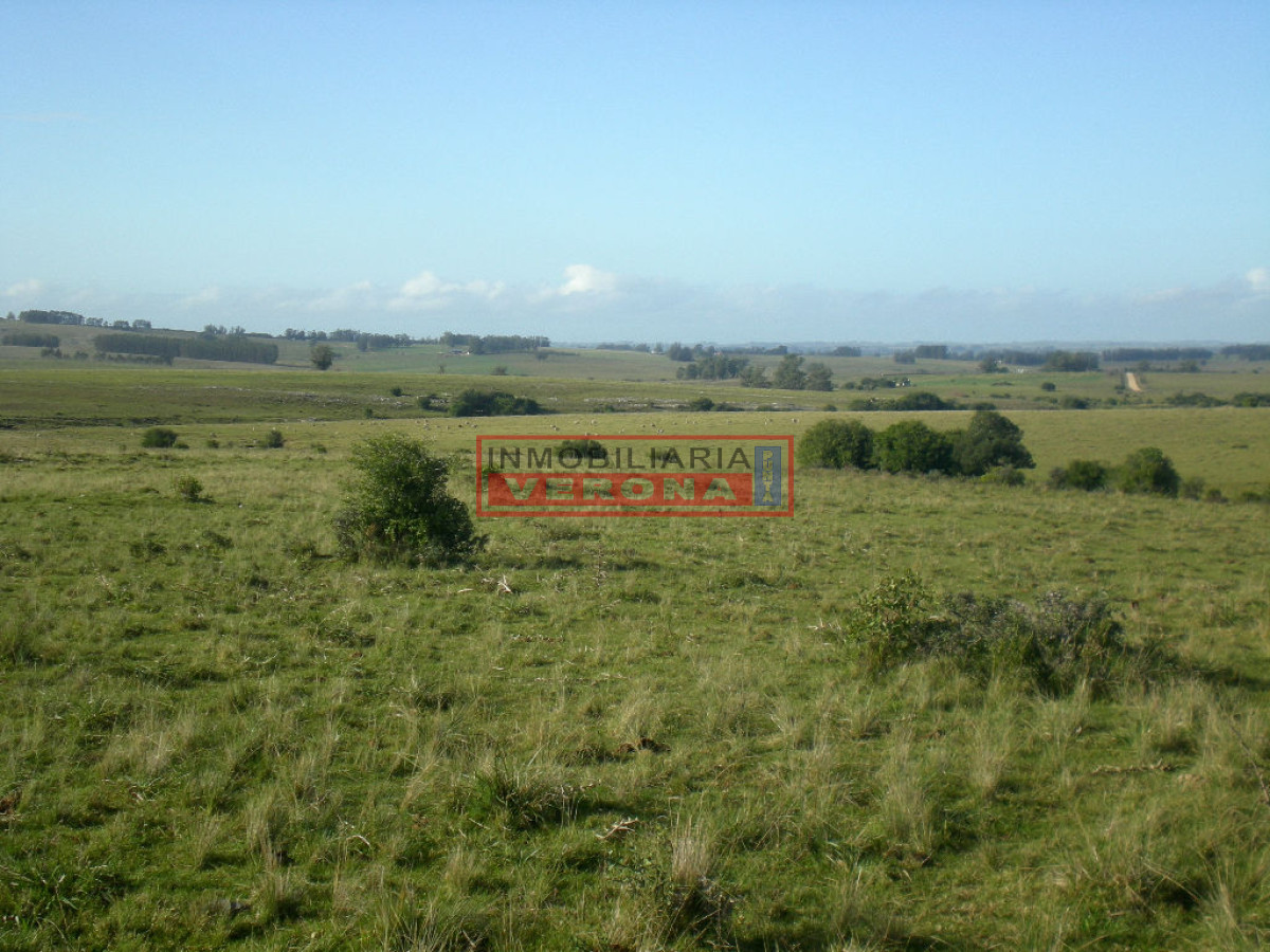 6304 75 - GoPunta - Portal Inmobiliario de Punta del Este - Maldonado