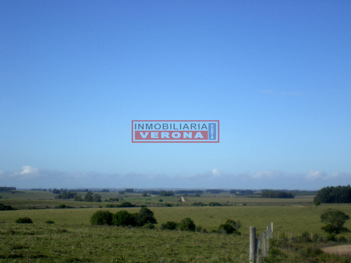 6304 75 - GoPunta - Portal Inmobiliario de Punta del Este - Maldonado