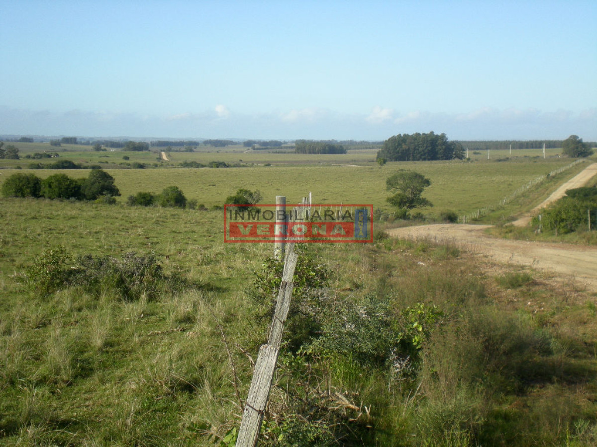 6304 75 - GoPunta - Portal Inmobiliario de Punta del Este - Maldonado