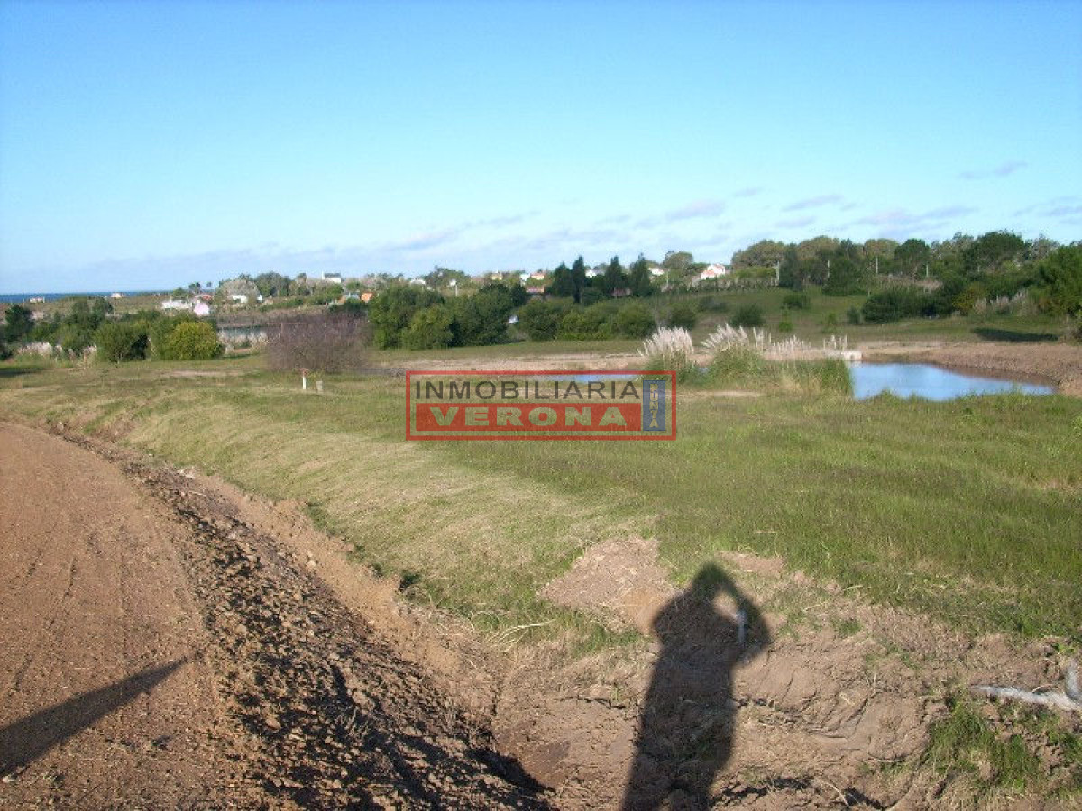 6332 75 - GoPunta - Portal Inmobiliario de Punta del Este - Maldonado