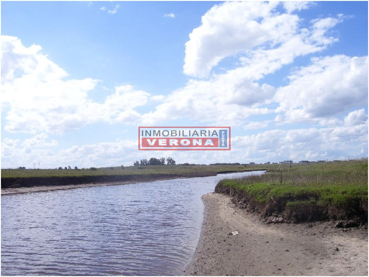 6344 75 - GoPunta - Portal Inmobiliario de Punta del Este - Maldonado