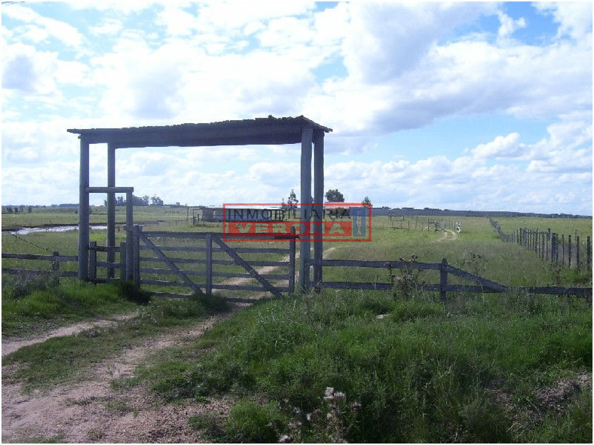 6344 75 - GoPunta - Portal Inmobiliario de Punta del Este - Maldonado
