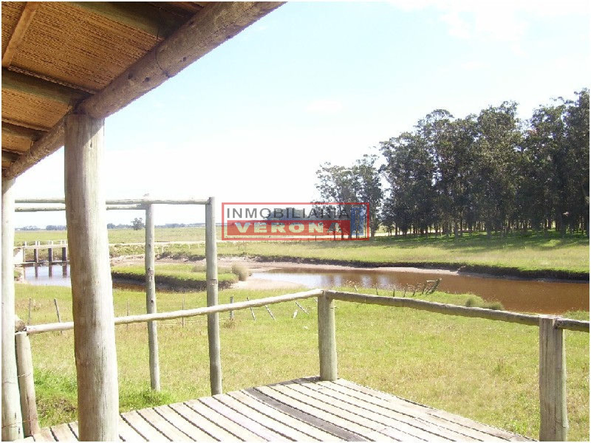 6344 75 - GoPunta - Portal Inmobiliario de Punta del Este - Maldonado