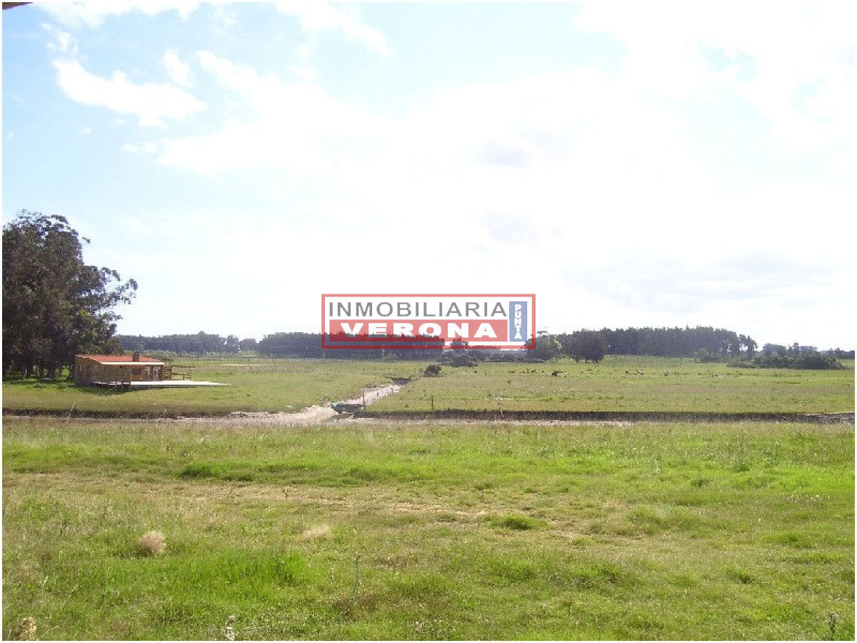 6344 75 - GoPunta - Portal Inmobiliario de Punta del Este - Maldonado