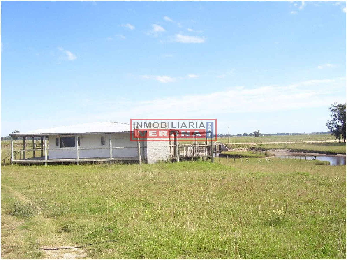 6344 75 - GoPunta - Portal Inmobiliario de Punta del Este - Maldonado