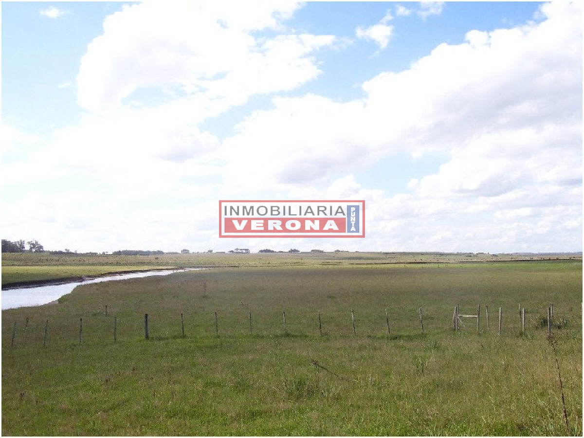 6344 75 - GoPunta - Portal Inmobiliario de Punta del Este - Maldonado