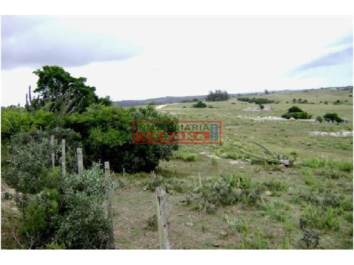 6365 75 - GoPunta - Portal Inmobiliario de Punta del Este - Maldonado