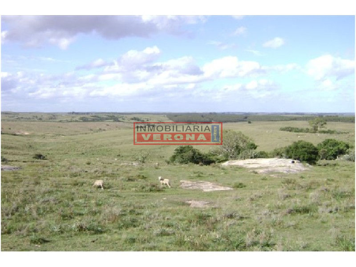 6365 75 - GoPunta - Portal Inmobiliario de Punta del Este - Maldonado