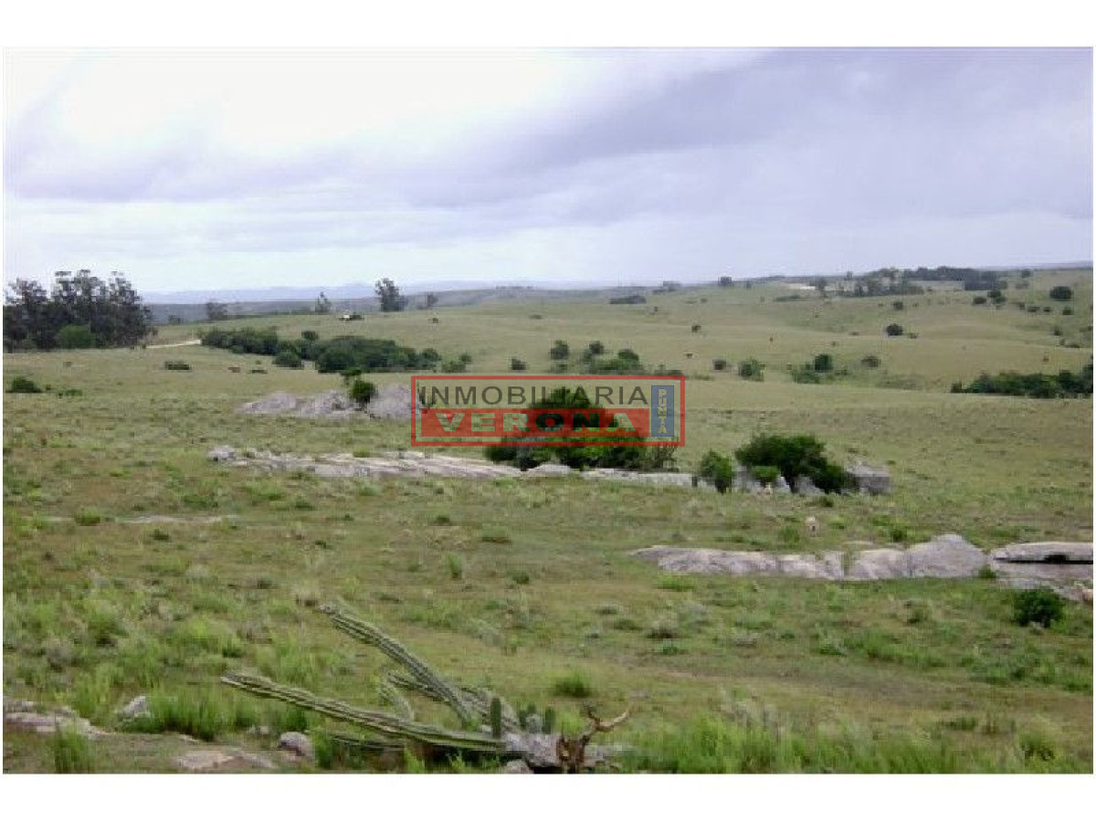 6365 75 - GoPunta - Portal Inmobiliario de Punta del Este - Maldonado
