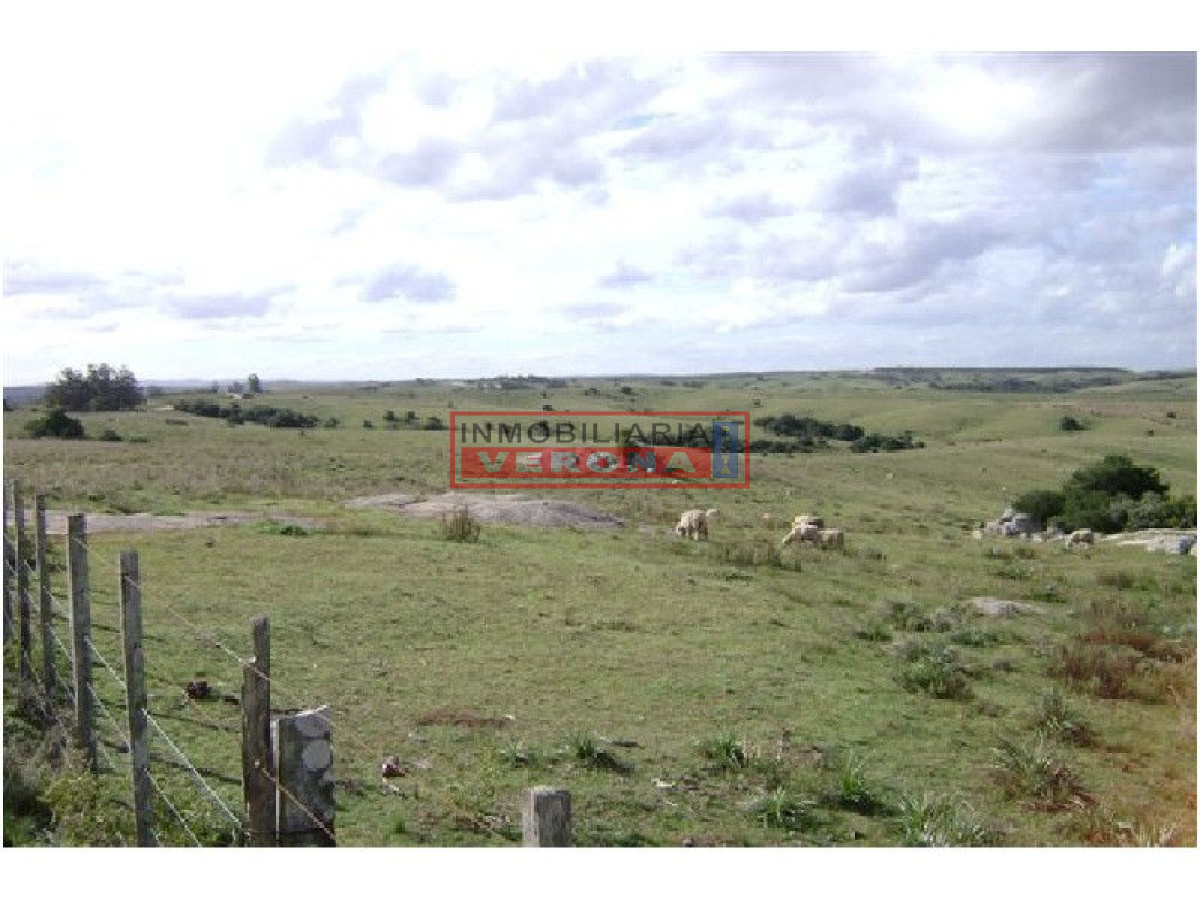 6365 75 - GoPunta - Portal Inmobiliario de Punta del Este - Maldonado