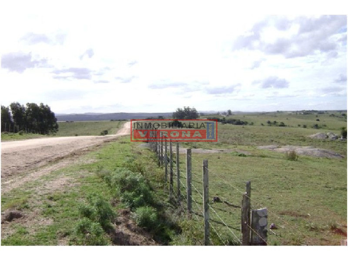 6365 75 - GoPunta - Portal Inmobiliario de Punta del Este - Maldonado