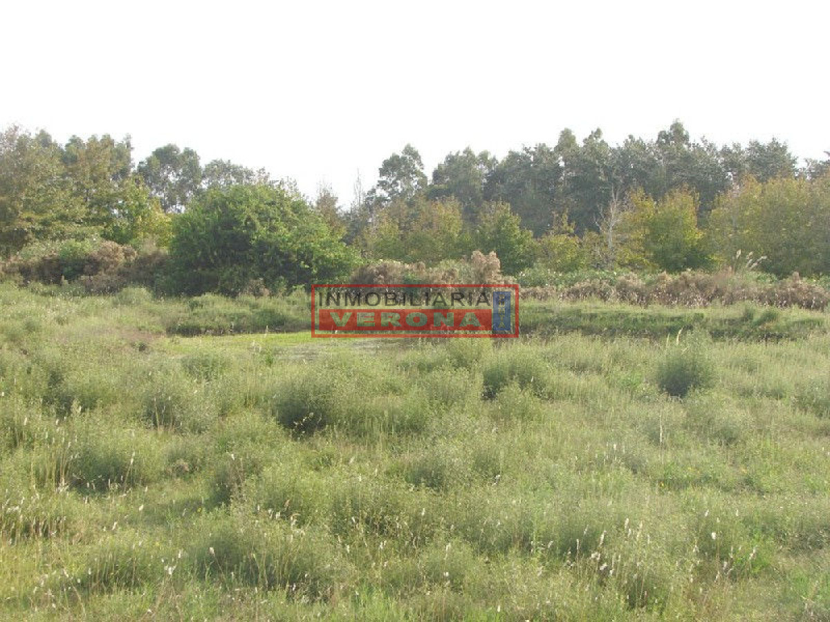 6278 75 - GoPunta - Portal Inmobiliario de Punta del Este - Maldonado