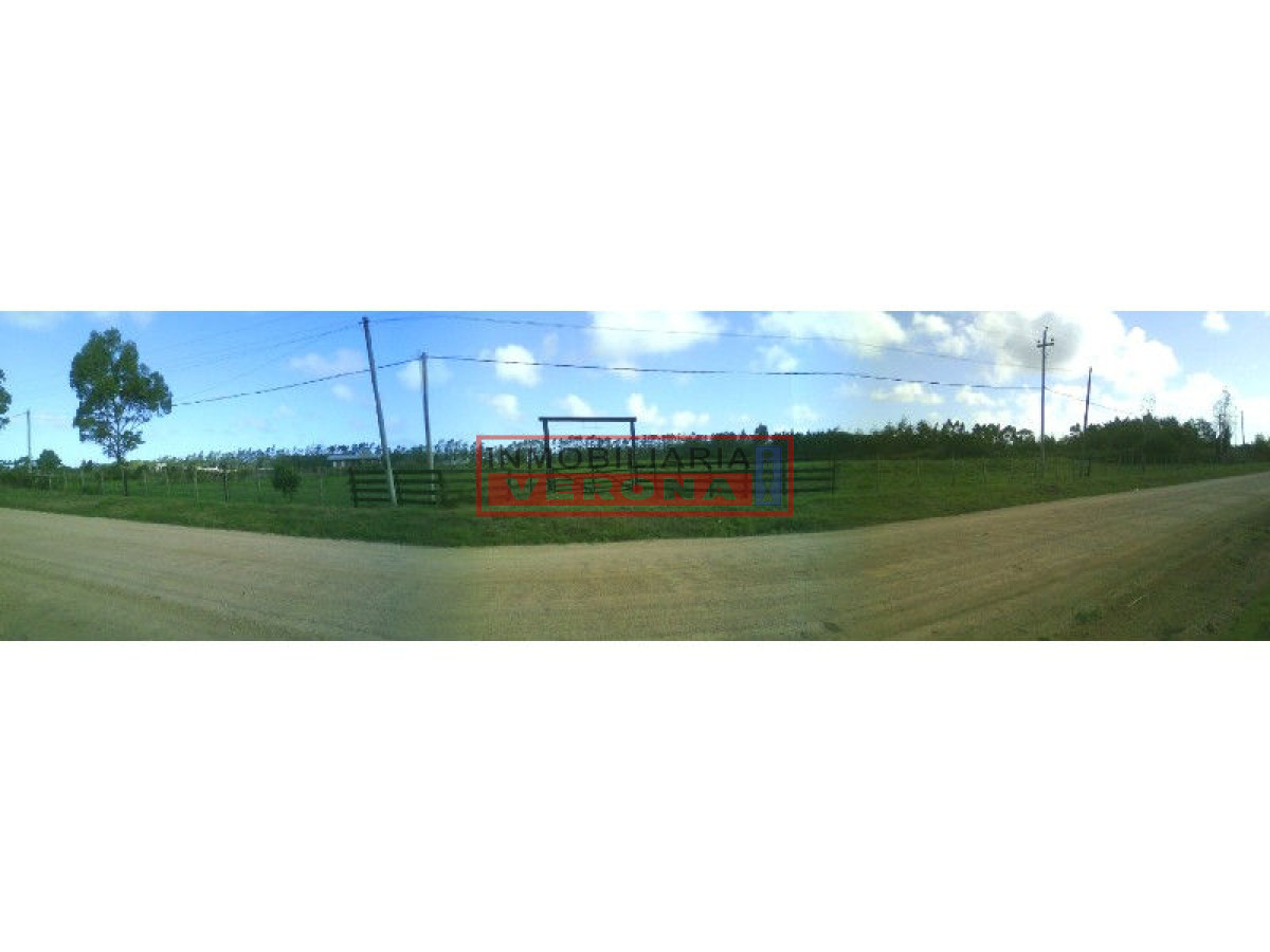 6278 75 - GoPunta - Portal Inmobiliario de Punta del Este - Maldonado