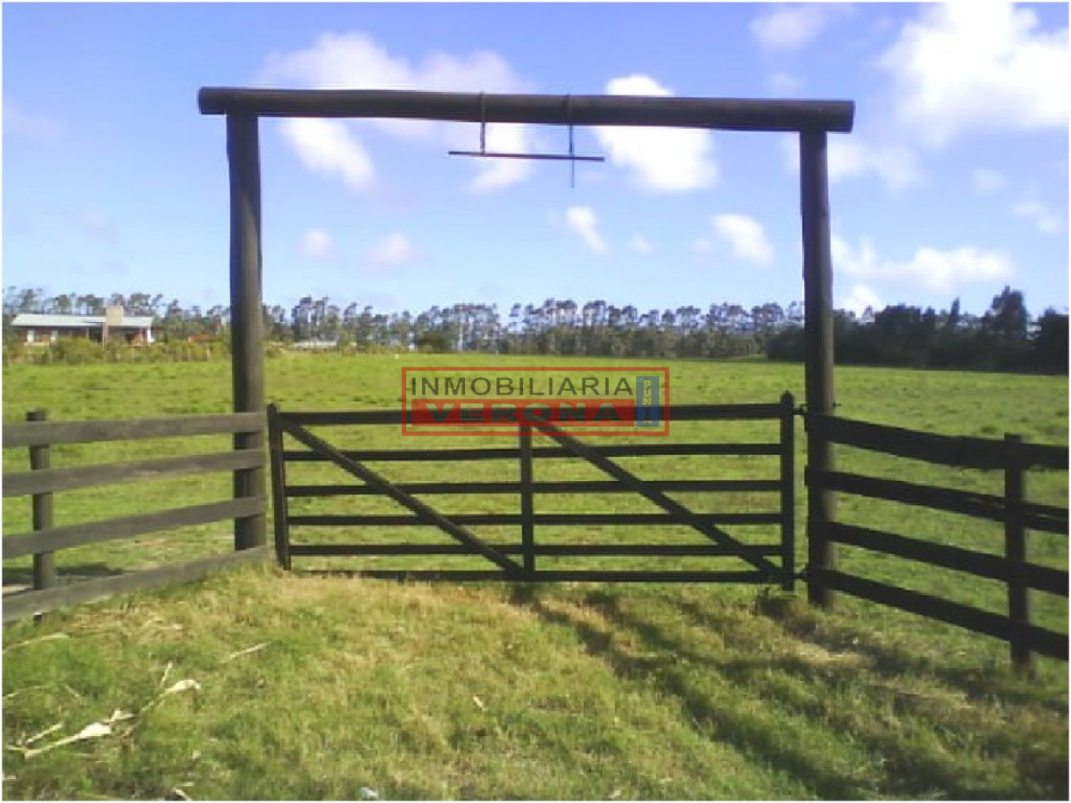 6278 75 - GoPunta - Portal Inmobiliario de Punta del Este - Maldonado