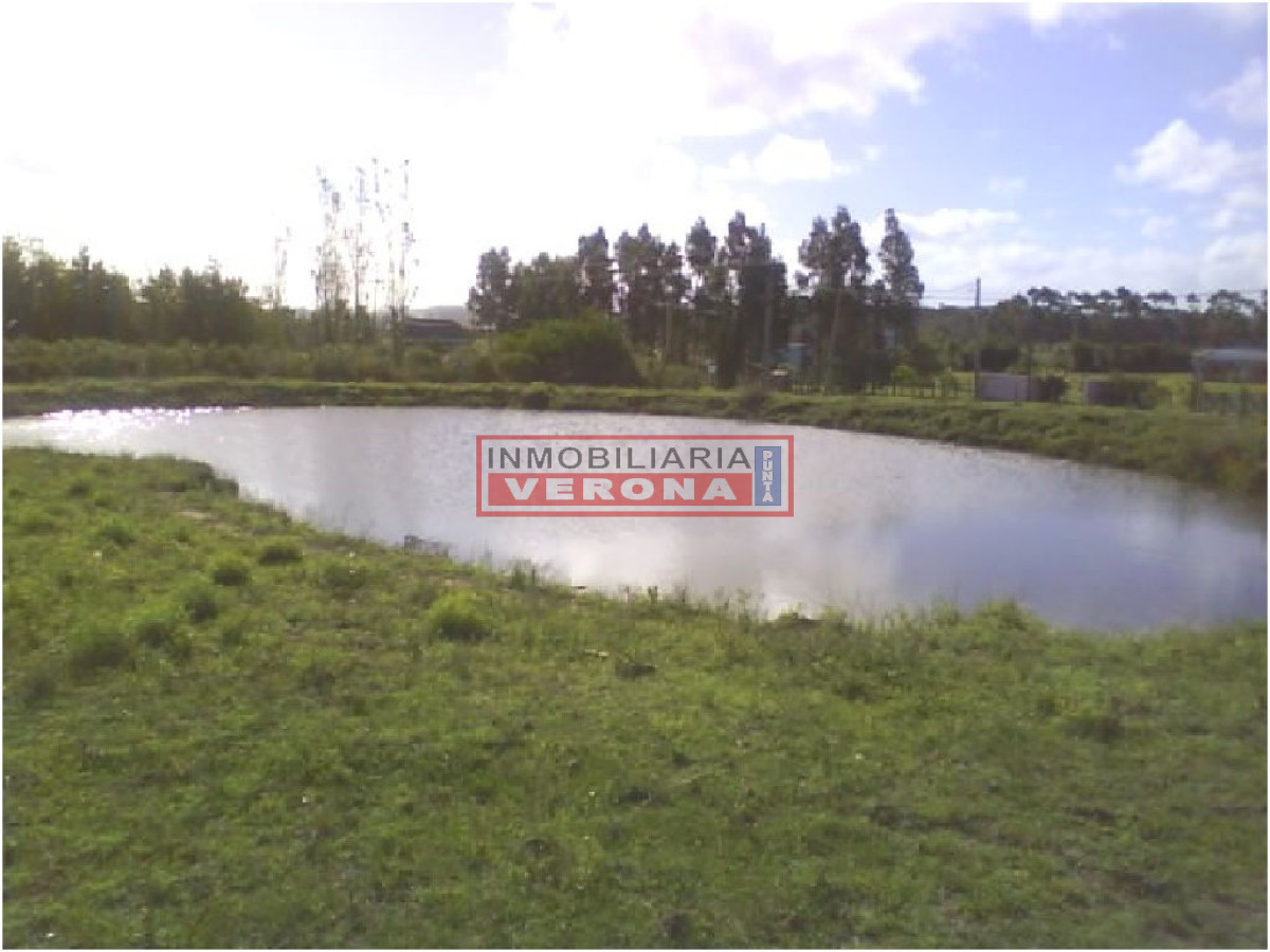 6278 75 - GoPunta - Portal Inmobiliario de Punta del Este - Maldonado