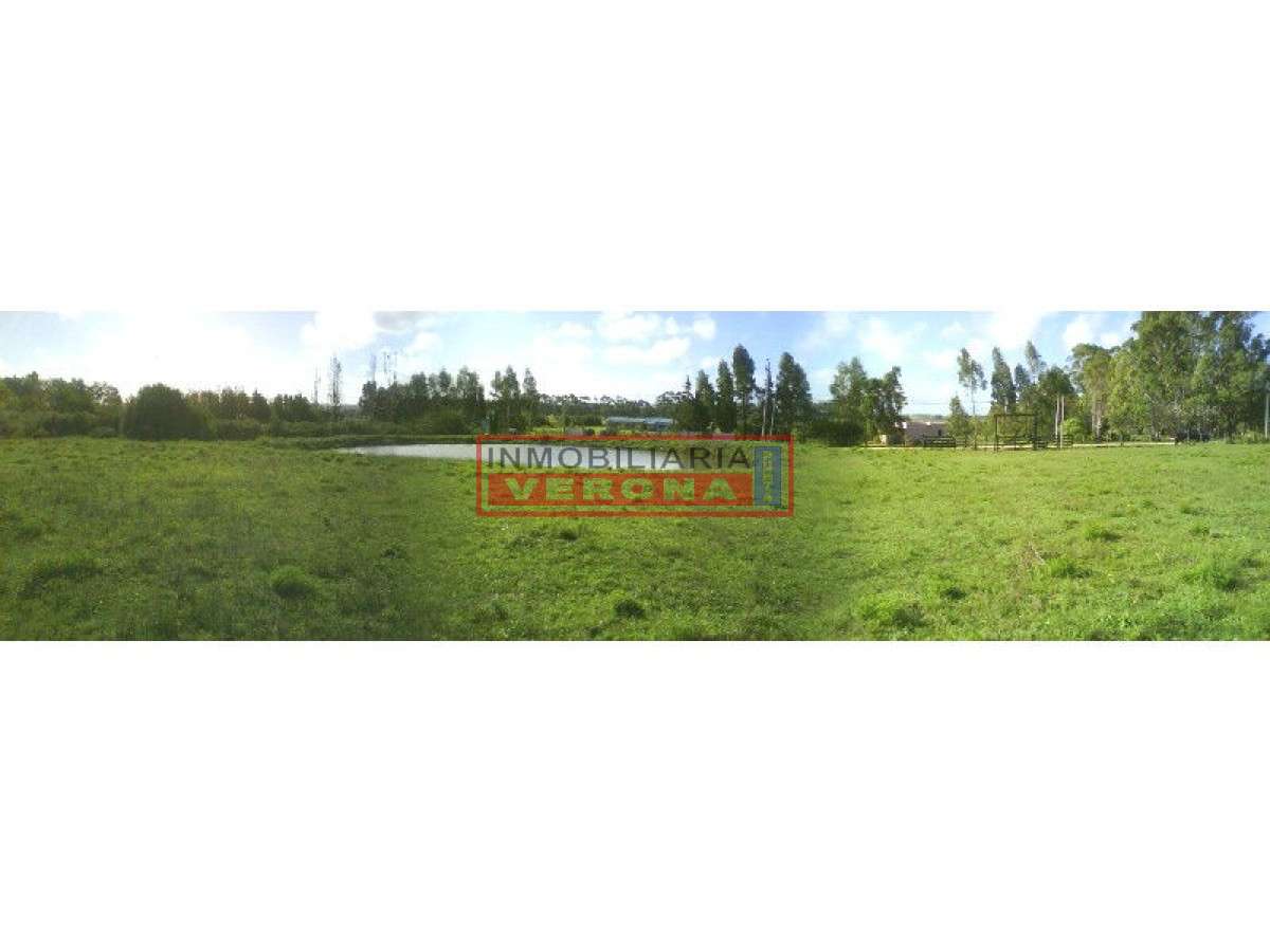 6278 75 - GoPunta - Portal Inmobiliario de Punta del Este - Maldonado