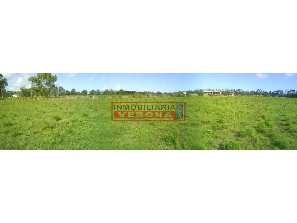 6278 75 - GoPunta - Portal Inmobiliario de Punta del Este - Maldonado