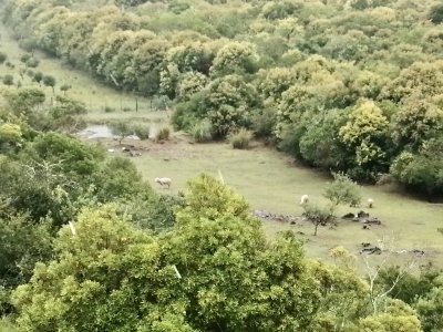 Hermosa CASA DE CAMPO TURÍSTICA