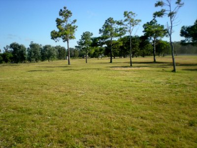 IMPERDIBLE TERRENO EN CHACRAS DEL PINAR !!! 