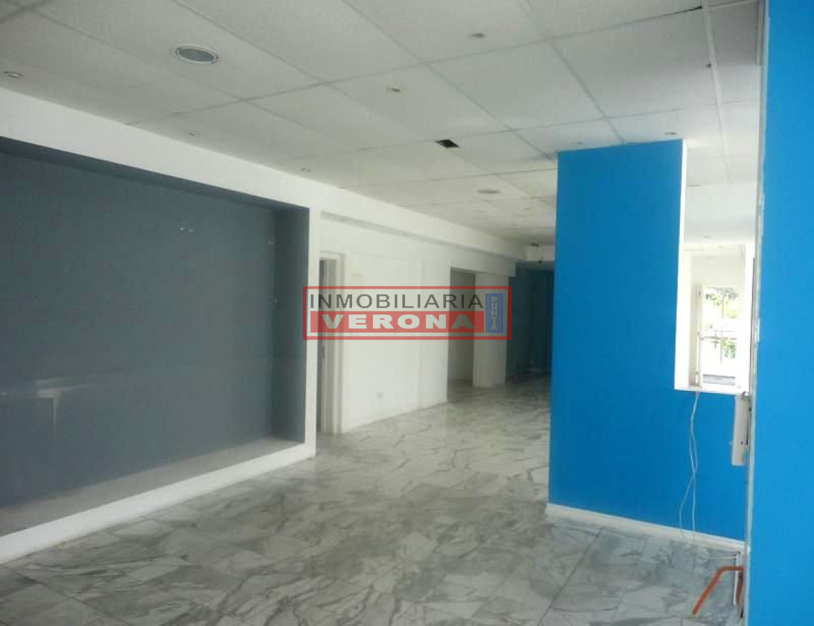 Roosevelt - GoPunta - Portal Inmobiliario de Punta del Este - Maldonado