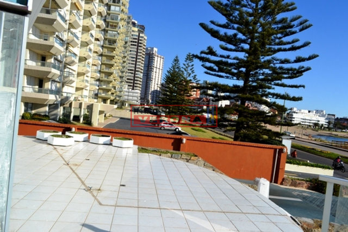 Mansa - GoPunta - Portal Inmobiliario de Punta del Este - Maldonado
