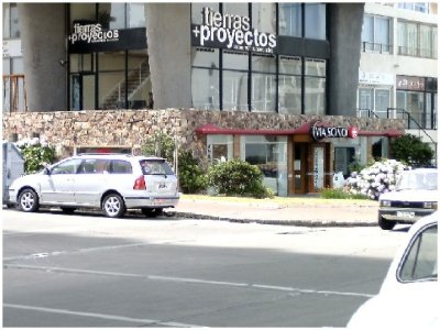 Local en Punta del Este, Peninsula