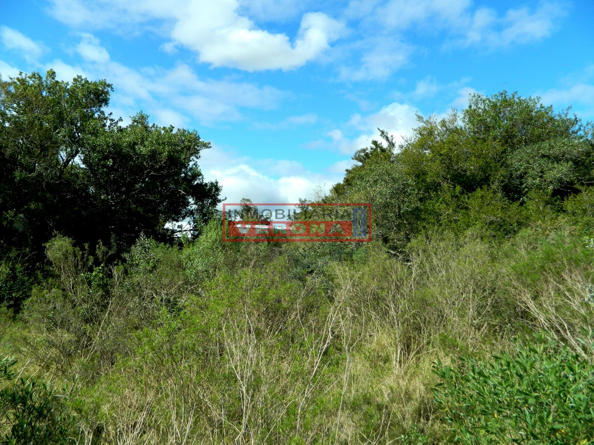 Pueblo Obrero - GoPunta - Portal Inmobiliario de Punta del Este - Maldonado