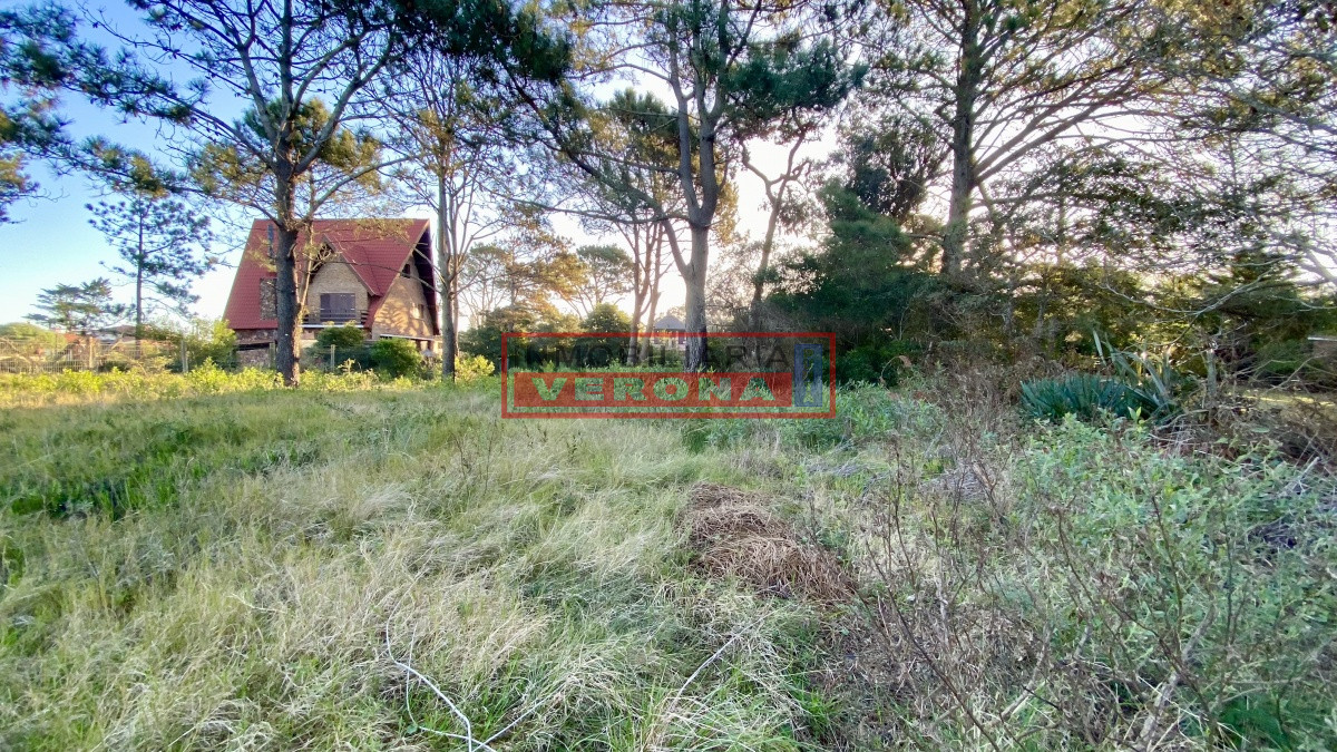 Pinares - GoPunta - Portal Inmobiliario de Punta del Este - Maldonado