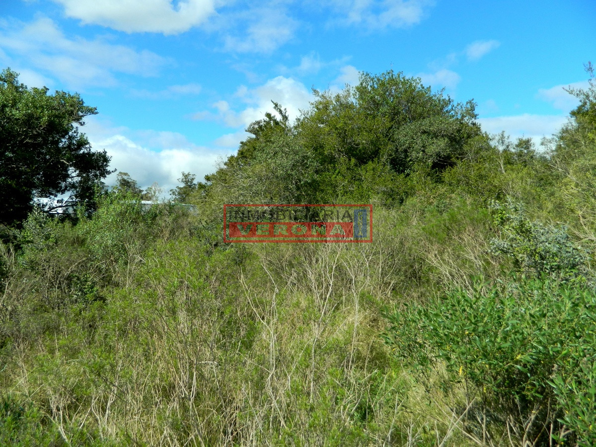 Pueblo Obrero - GoPunta - Portal Inmobiliario de Punta del Este - Maldonado