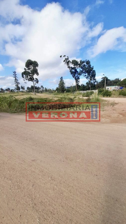 Altos de la Laguna - GoPunta - Portal Inmobiliario de Punta del Este - Maldonado