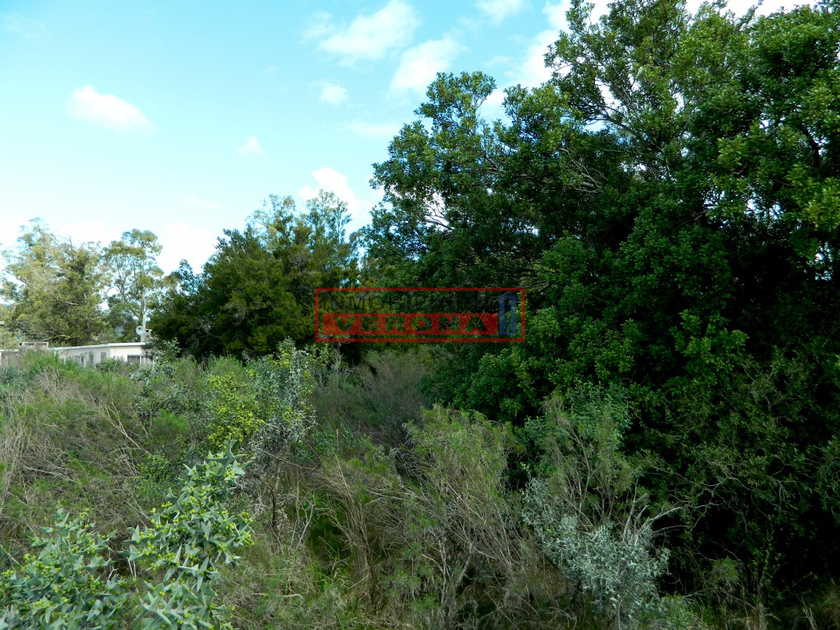 Pueblo Obrero - GoPunta - Portal Inmobiliario de Punta del Este - Maldonado