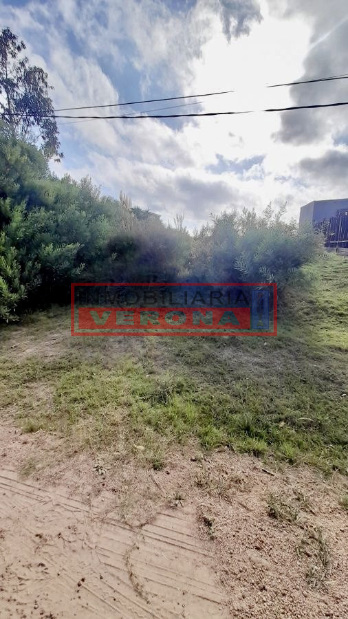 Altos de la Laguna - GoPunta - Portal Inmobiliario de Punta del Este - Maldonado