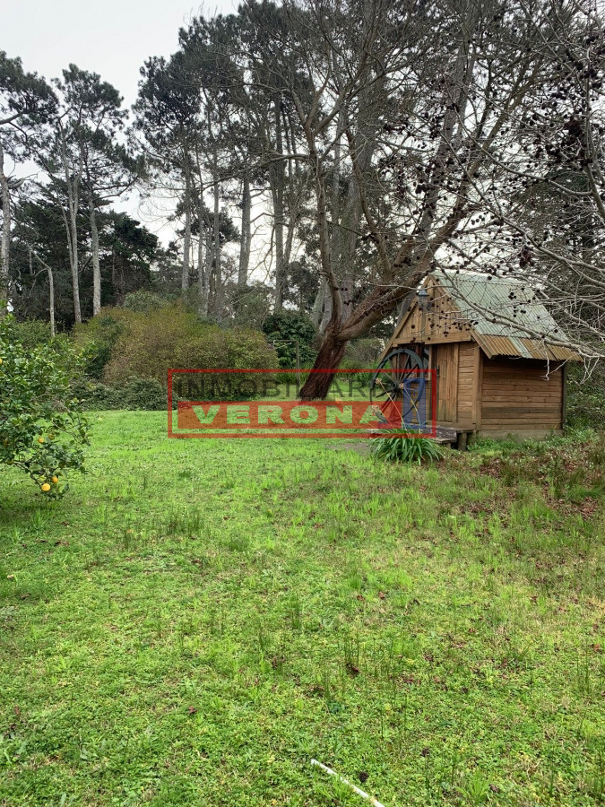 San Rafael - GoPunta - Portal Inmobiliario de Punta del Este - Maldonado