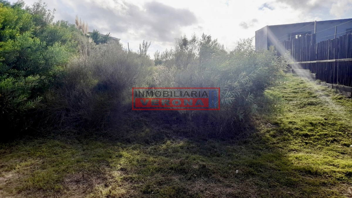 Altos de la Laguna - GoPunta - Portal Inmobiliario de Punta del Este - Maldonado