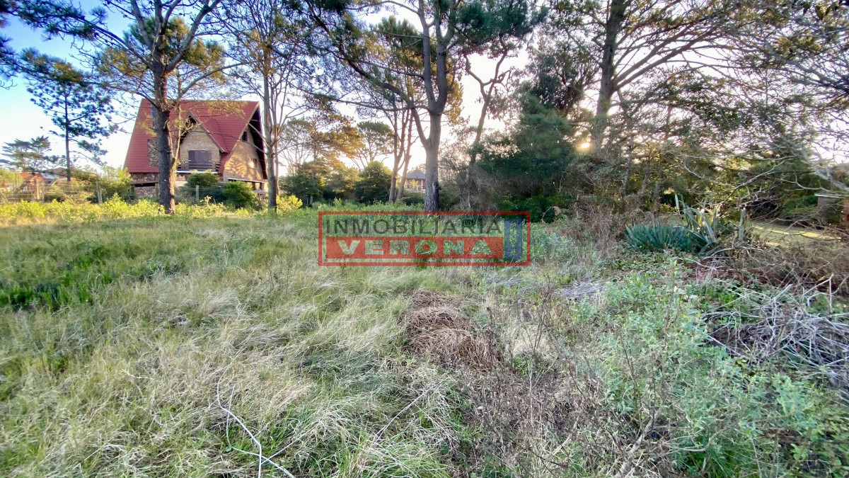 Pinares - GoPunta - Portal Inmobiliario de Punta del Este - Maldonado