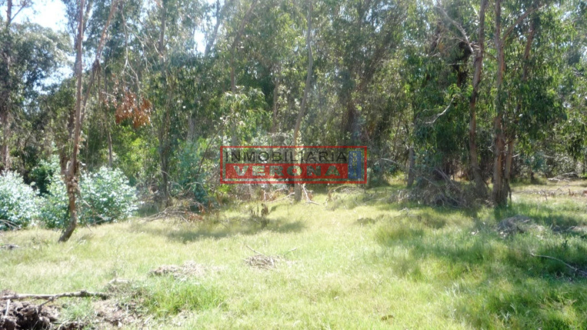 Santa Monica - GoPunta - Portal Inmobiliario de Punta del Este - Maldonado
