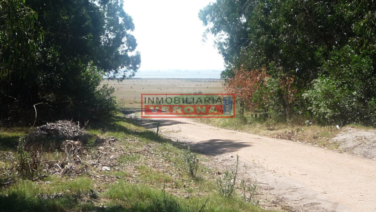 Santa Monica - GoPunta - Portal Inmobiliario de Punta del Este - Maldonado