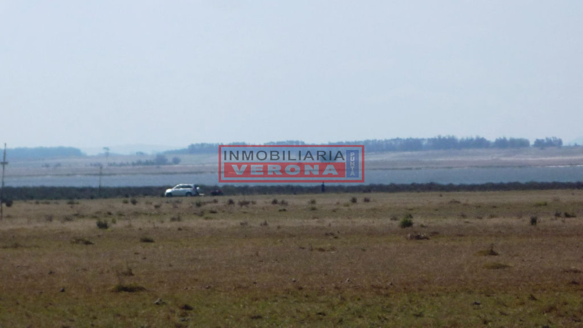 Santa Monica - GoPunta - Portal Inmobiliario de Punta del Este - Maldonado